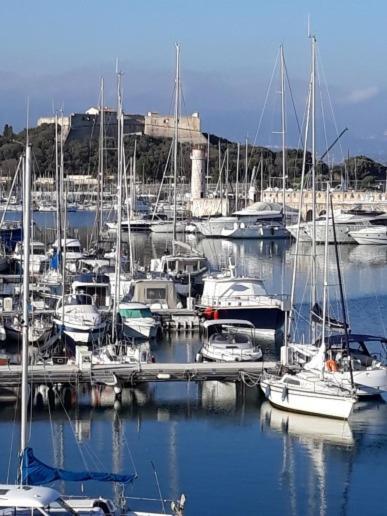 Les Violettes 3 Pieces Centre Ville Antibes Exterior foto